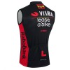 Fietsvest 2026 Visma Lease A Bike - Zwart