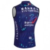 Fietsvest 2026 Bahrain Victorious - Blauw
